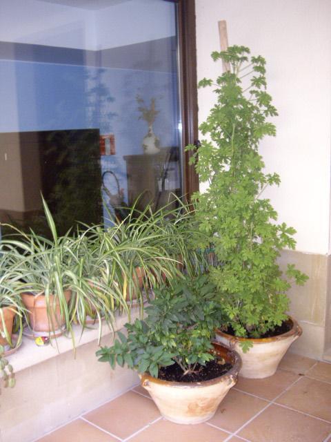 Casa Rural Rojanda Elciego Εξωτερικό φωτογραφία